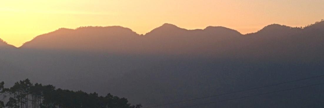 nattster's profile banner image