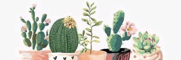 maferlab3's profile banner image