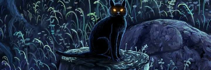 cecibathory's profile banner image