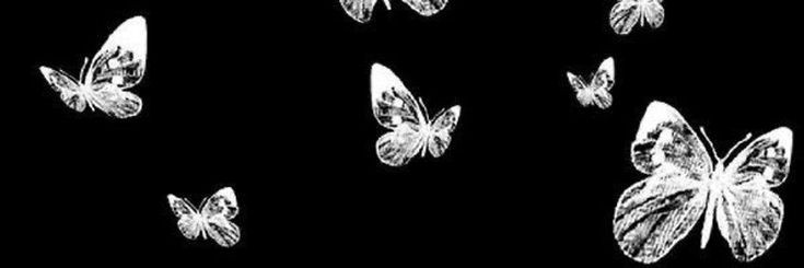 davi. banner
