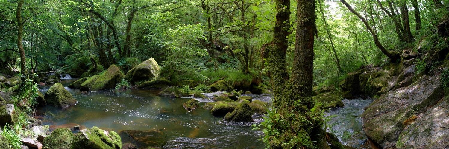 Charles Dundas banner