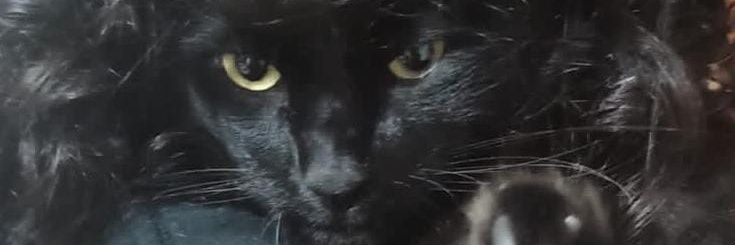 MathSantos007's profile banner image