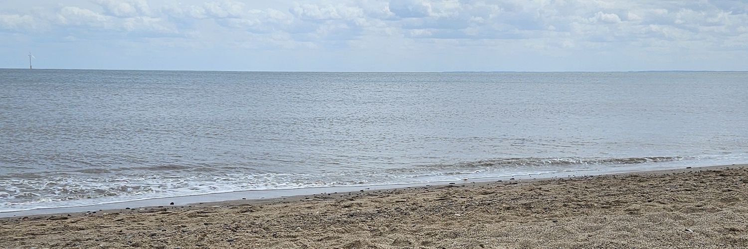 Vicky Johnson banner