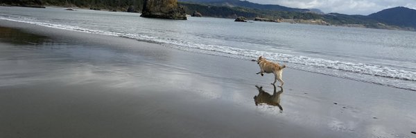 Rivness Profile Banner