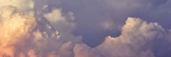 OnDeckFishAI Profile Banner