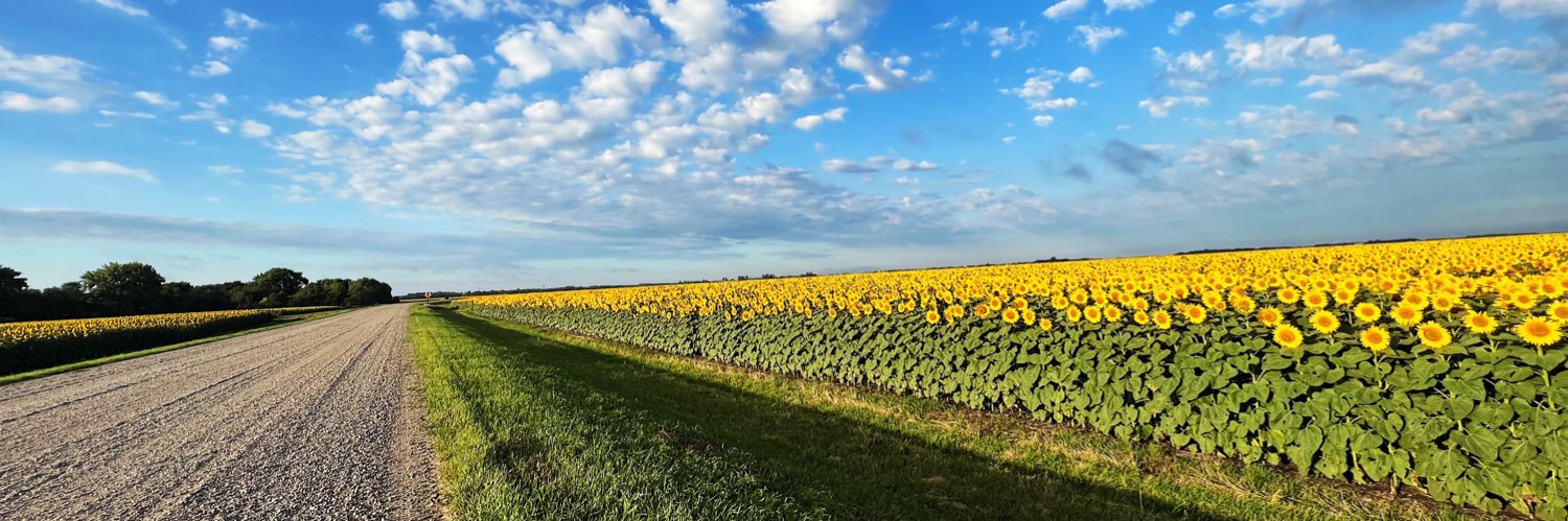 Libby Schneider banner