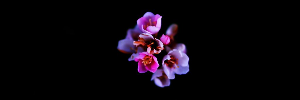 CEBB's profile banner image
