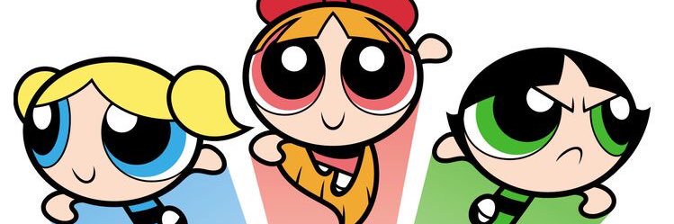 member of power puff girls banner