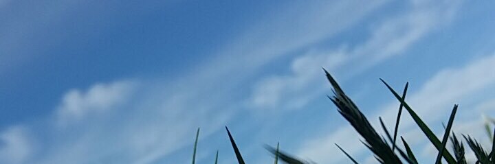 charleen1237's profile banner image