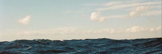 Sundy Locus 🍃🌱 banner