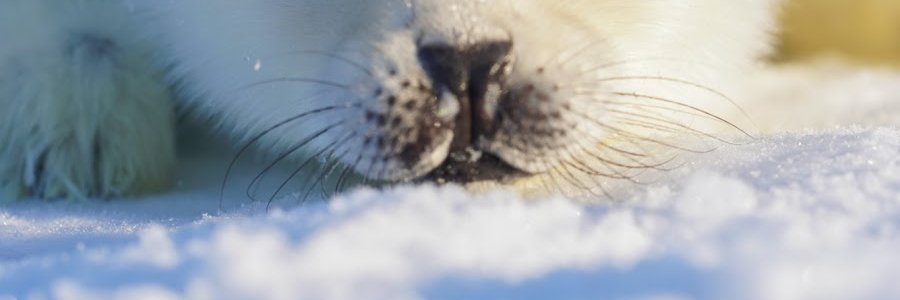 mina_haruki's profile banner image