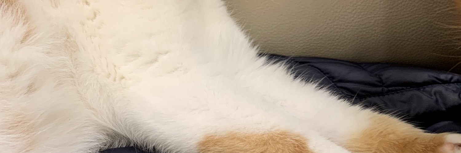hl_mws's profile banner image