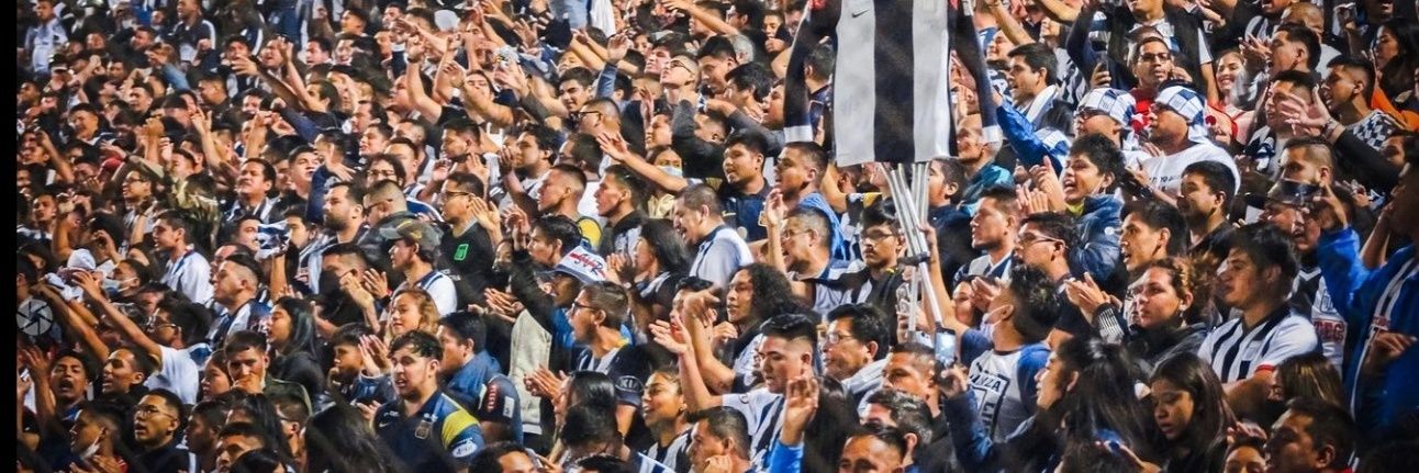 Edi banner