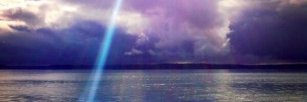 ShaunaCausey Profile Banner