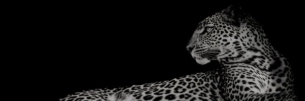 TheCoachJacob Profile Banner