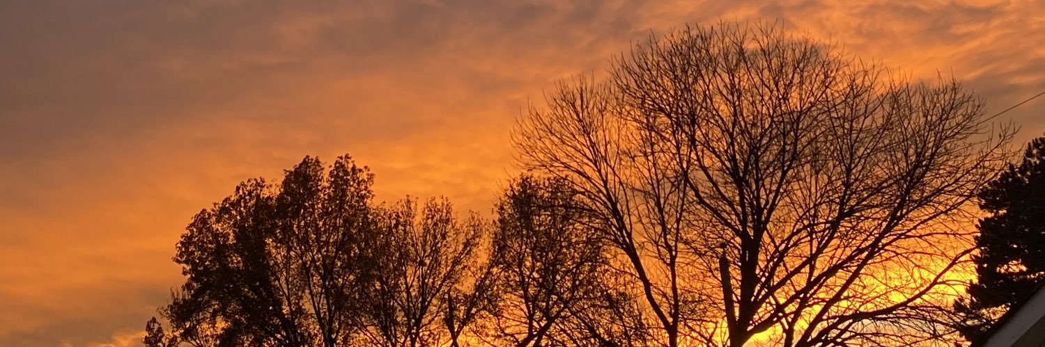 nchz_94's profile banner image