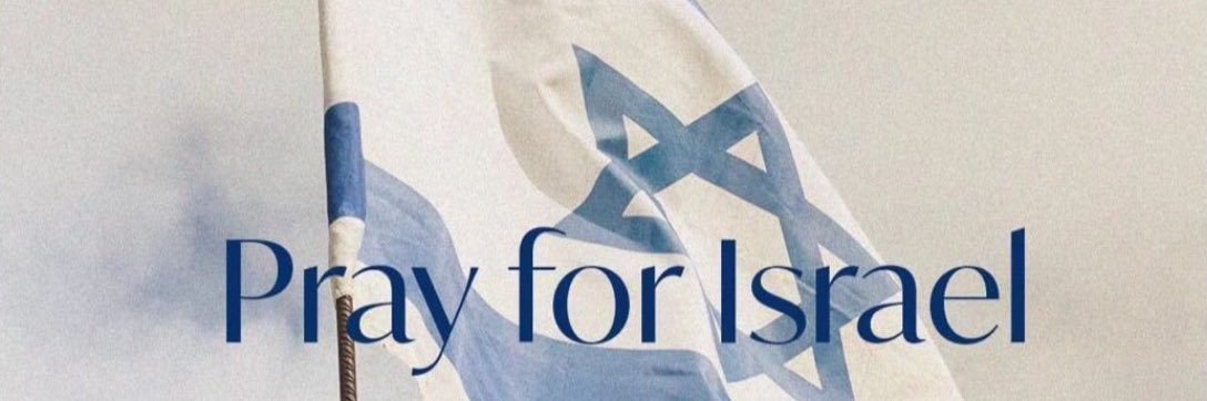 Alexandr M. Pinkhasov banner