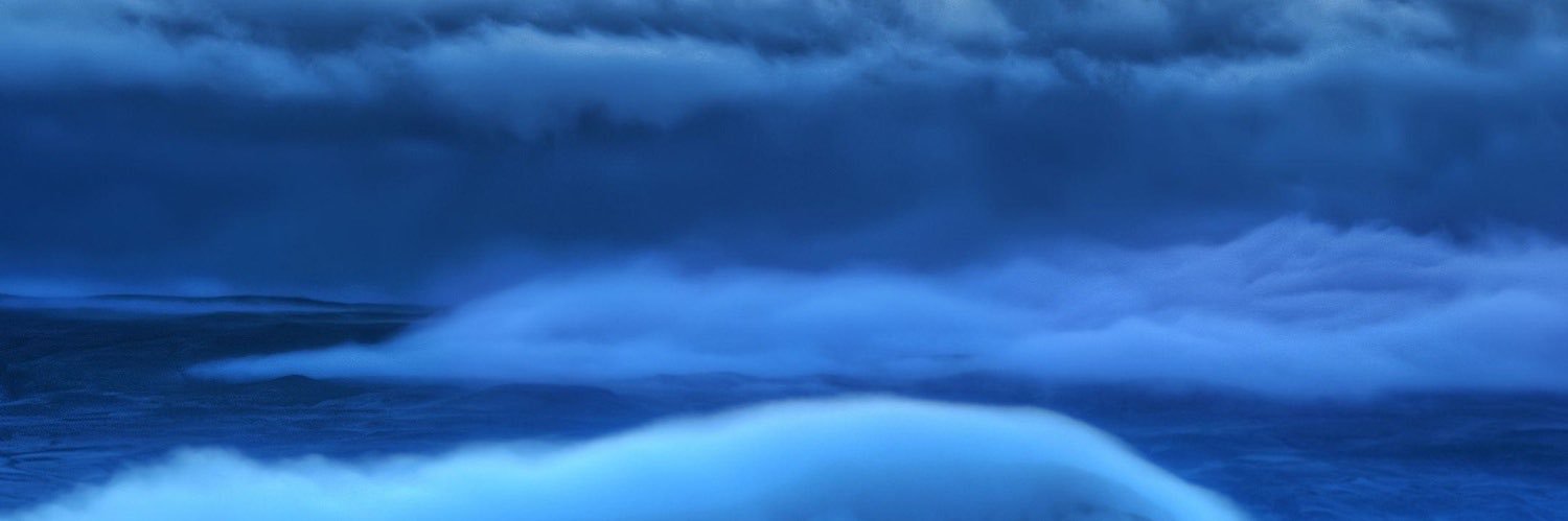 シロ banner