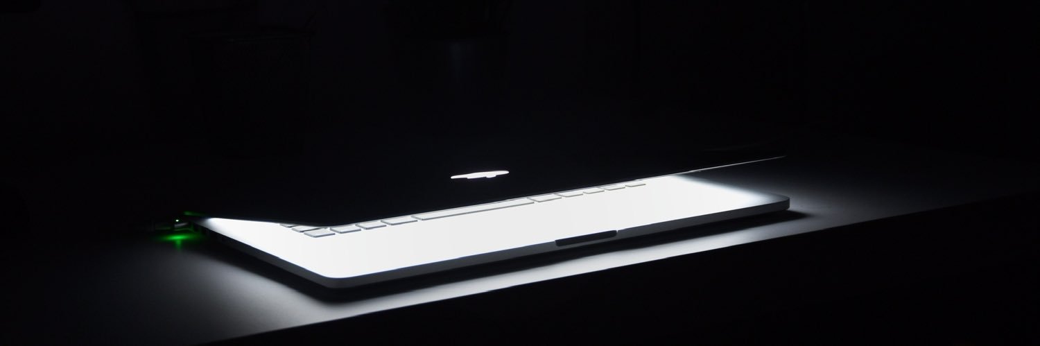 dilsidente banner