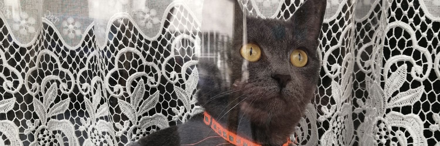 Ceyceyats's profile banner image