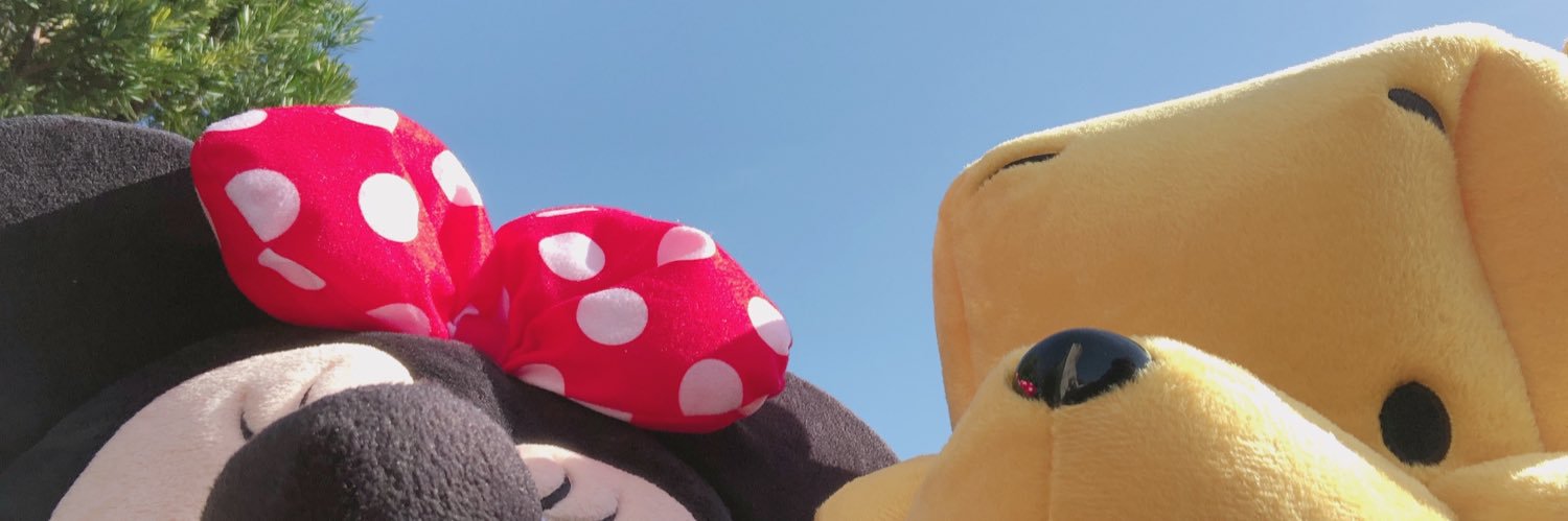 ri ʕ•ᴥ•ʔ banner