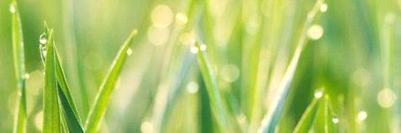 HealthyHabitz's profile banner image
