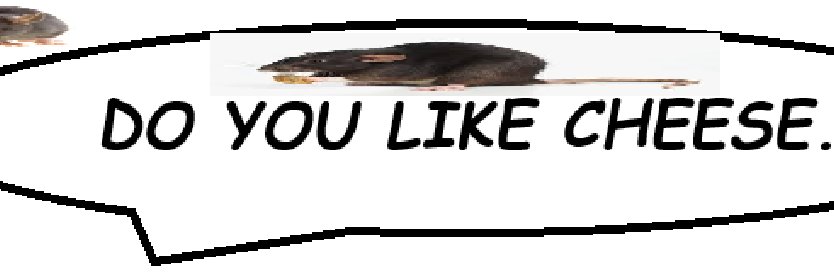 Mischievous rat's banner