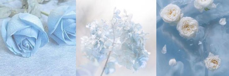 kanon☁️ banner
