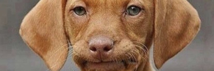 mrbee_m's profile banner image