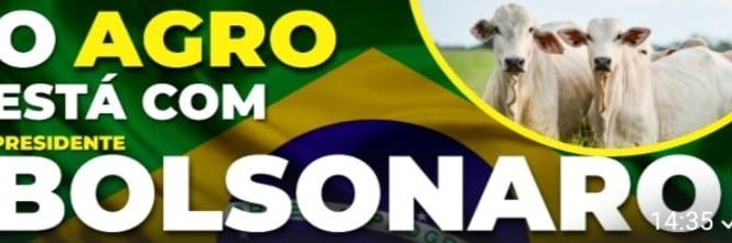 Malevolinda 🇧🇷 banner
