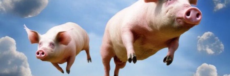 Demarcus Cheznut banner