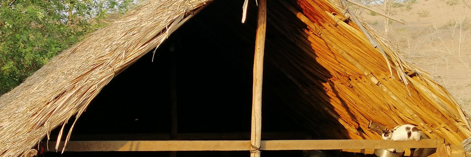 davidletras's profile banner image