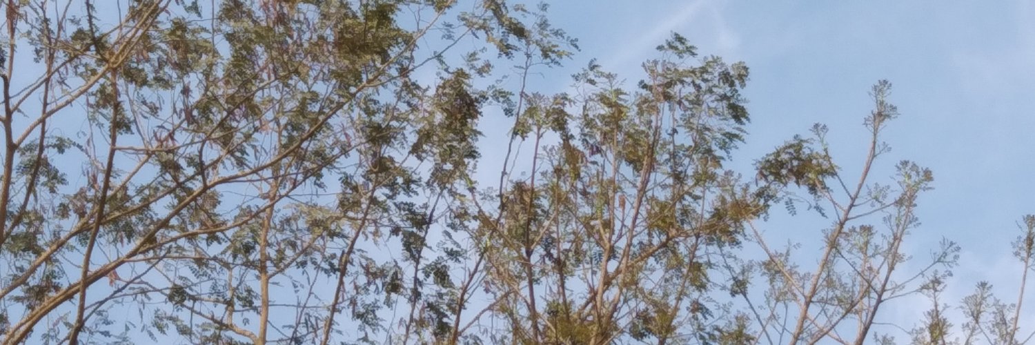 luki_bruno's profile banner image
