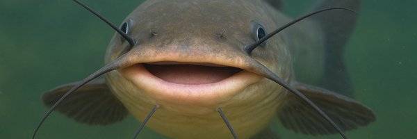 jidtech_ Profile Banner