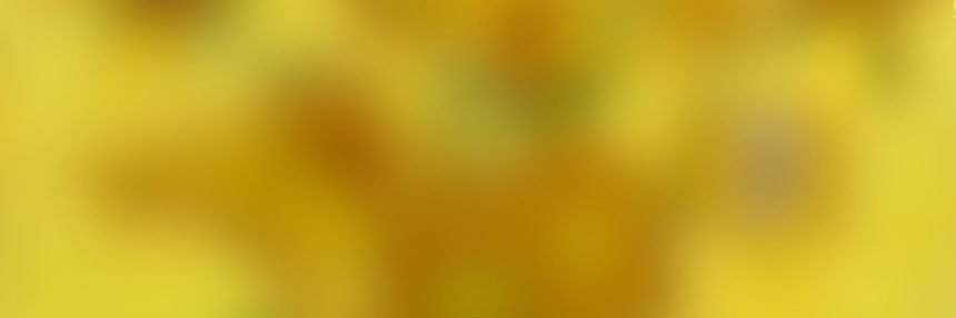 ひまじん banner