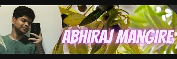 AbhirajMangire Profile Banner