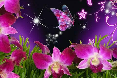 maylenguzman's profile banner image