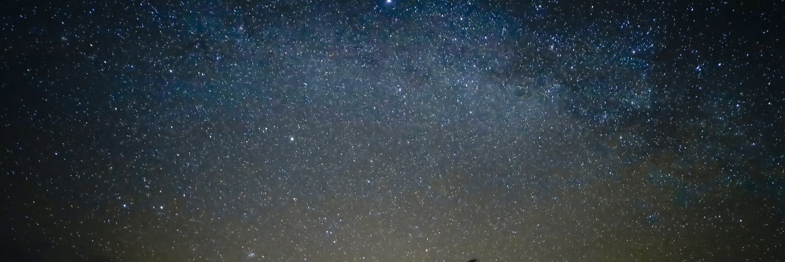 IngridRpl's profile banner image
