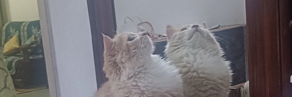 DrASif56 Profile Banner