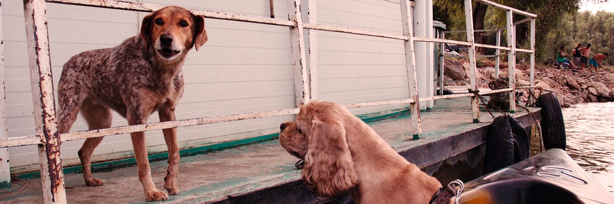 Georgii Dolzhykov 🇺🇦 banner