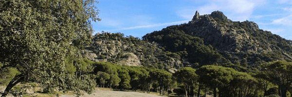 Javier Revuelta banner