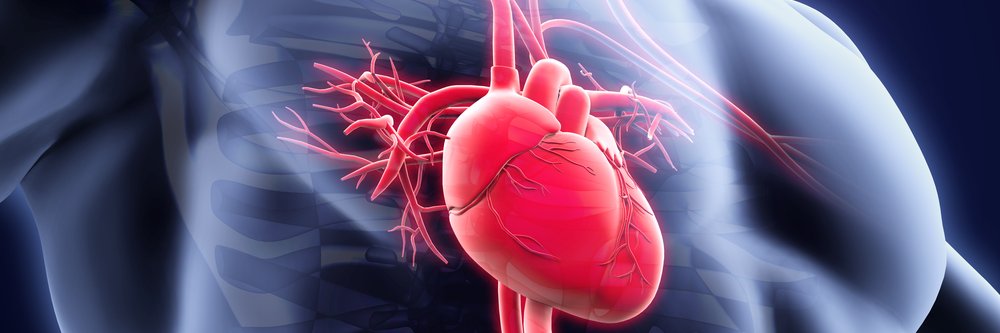 Fady Iskander MD, MSc banner