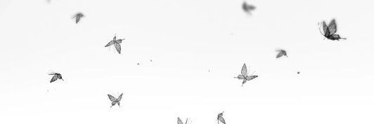 ambismod's profile banner image