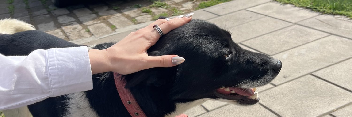 կատարսիս banner