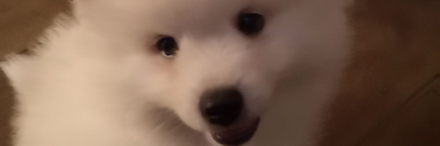 wilmagerritsma's profile banner image