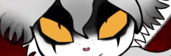NikoHyo's profile banner image