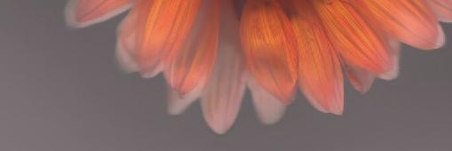 leev's profile banner image