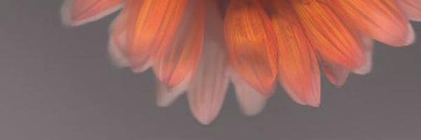 leev Profile Banner