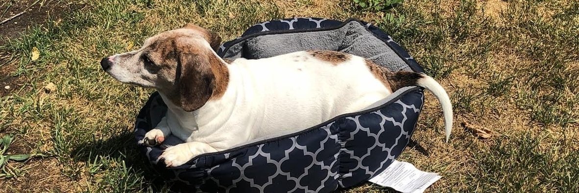 wpgtech 🇺🇦 banner