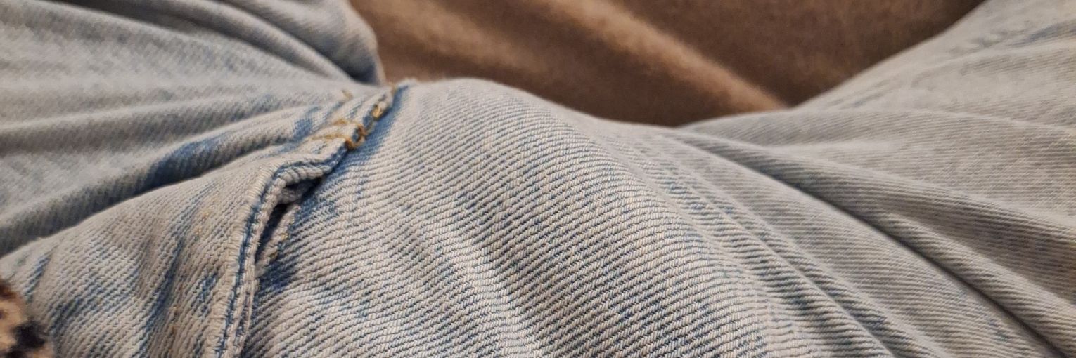 Petite salope Nantaise banner